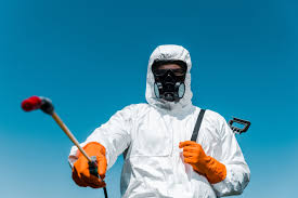 Best Termite Inspection and Treatment  in Laporte, CO